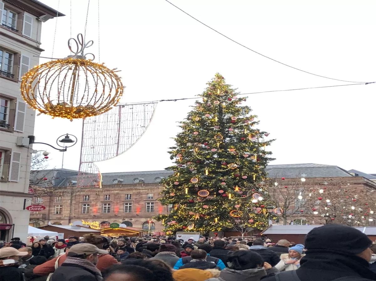 Picture No. 2 - Big christmas tree in the middle of the christmas market