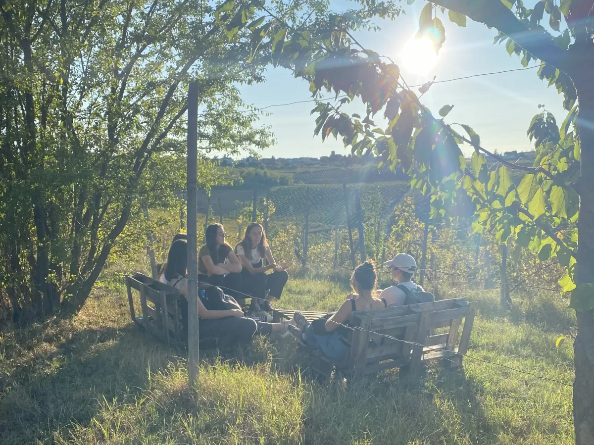 resting in the vineyard