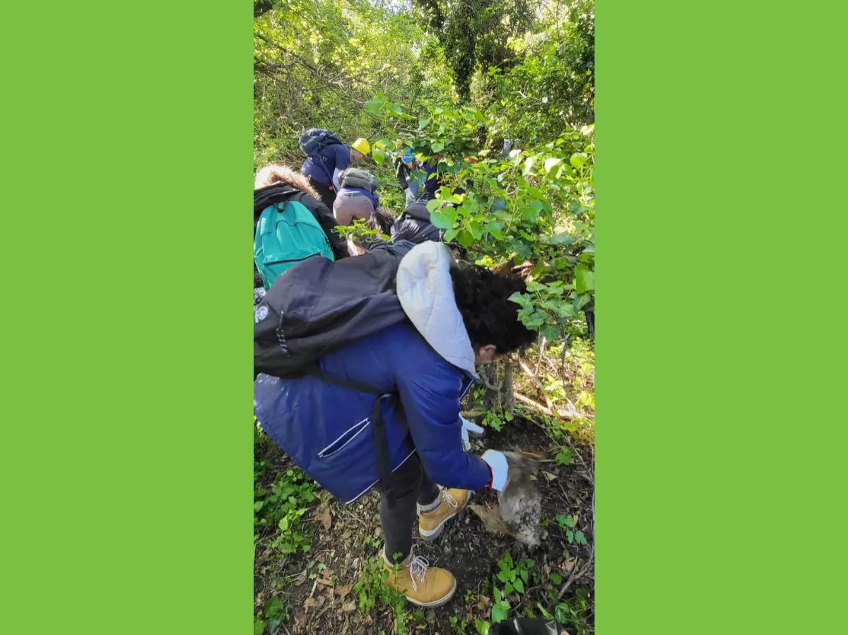 A few participants bend to collect garbage from the ground next to the trees