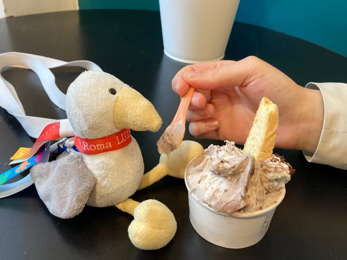 Our mascotte, Cal the seagull, eating gelato.