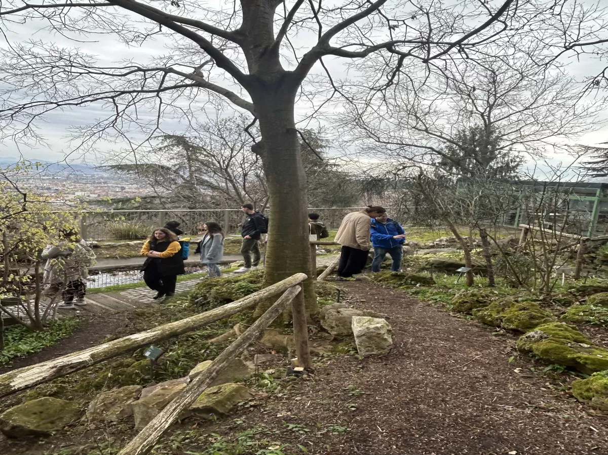 International students exploring the botanical garden