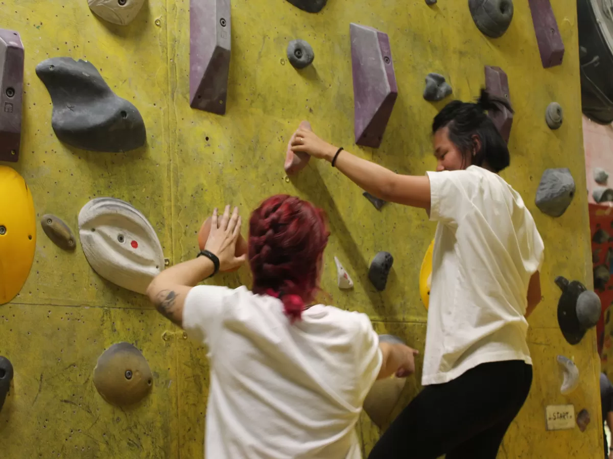 participants climbing