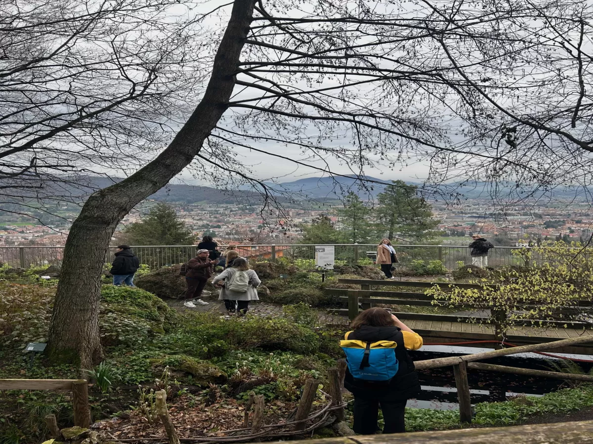 International students exploring the botanical garden