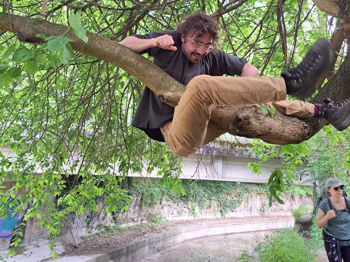 Erasmus student climbing on a tree