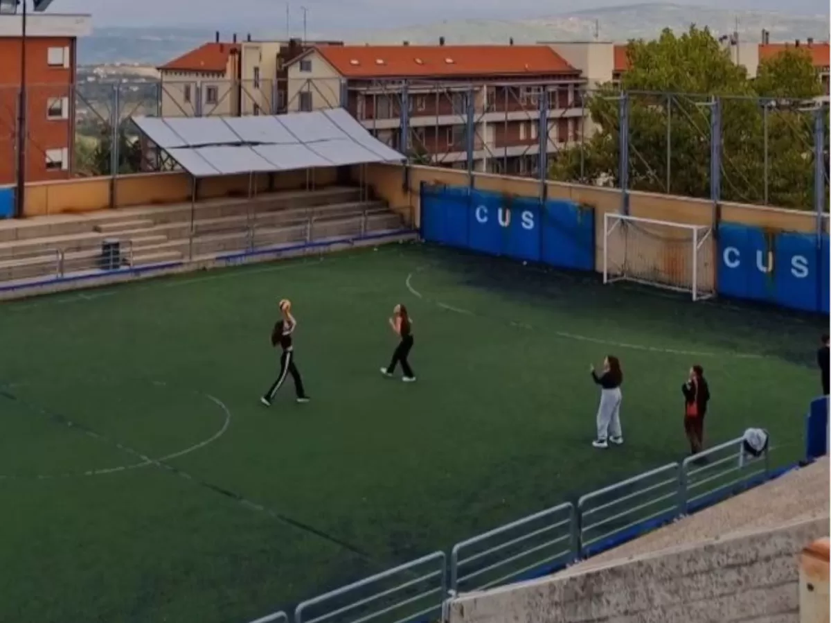 people playing volleyball