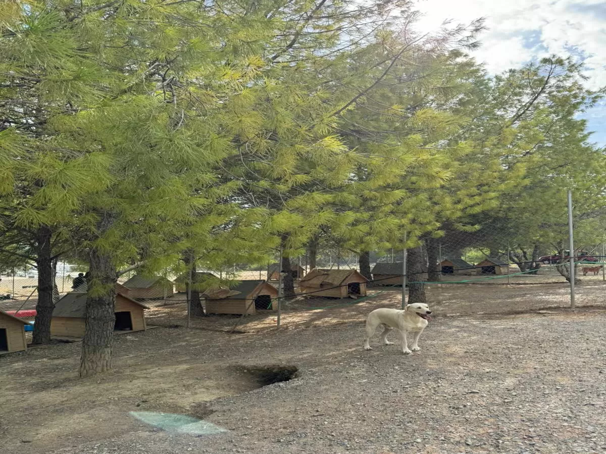 Animal shelter at HMU