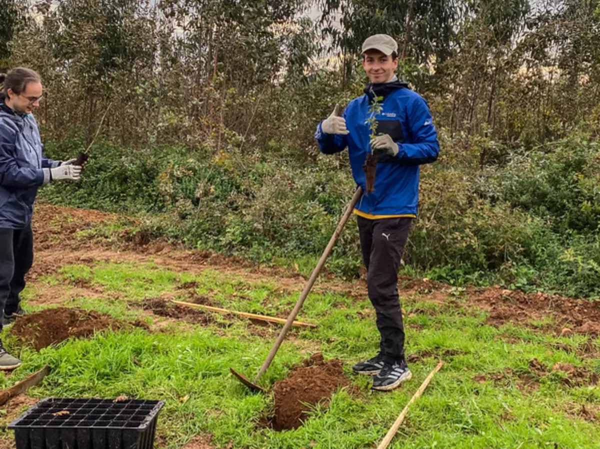 International student planting a tree.