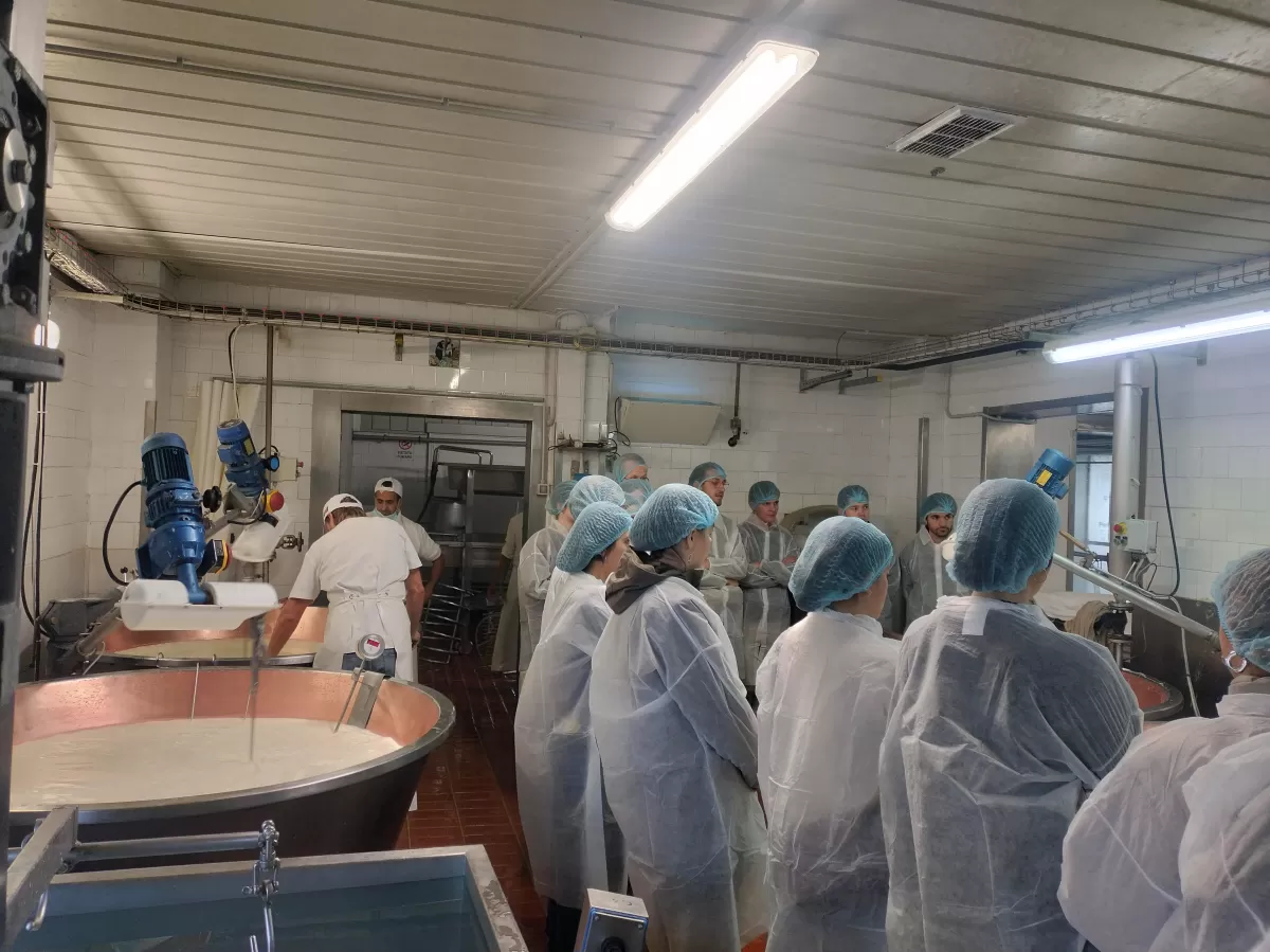 picture at caseificio