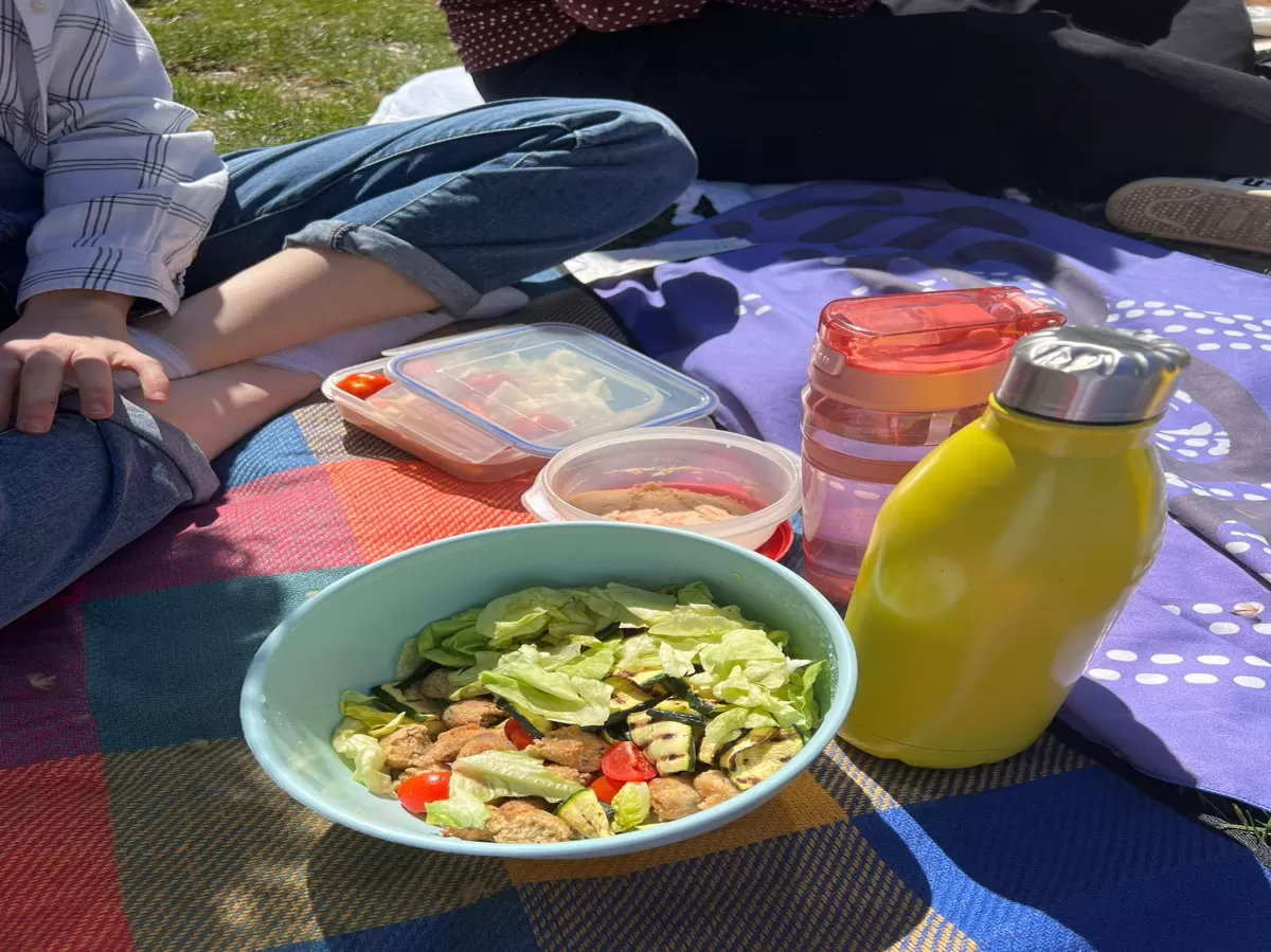 picnic lunch