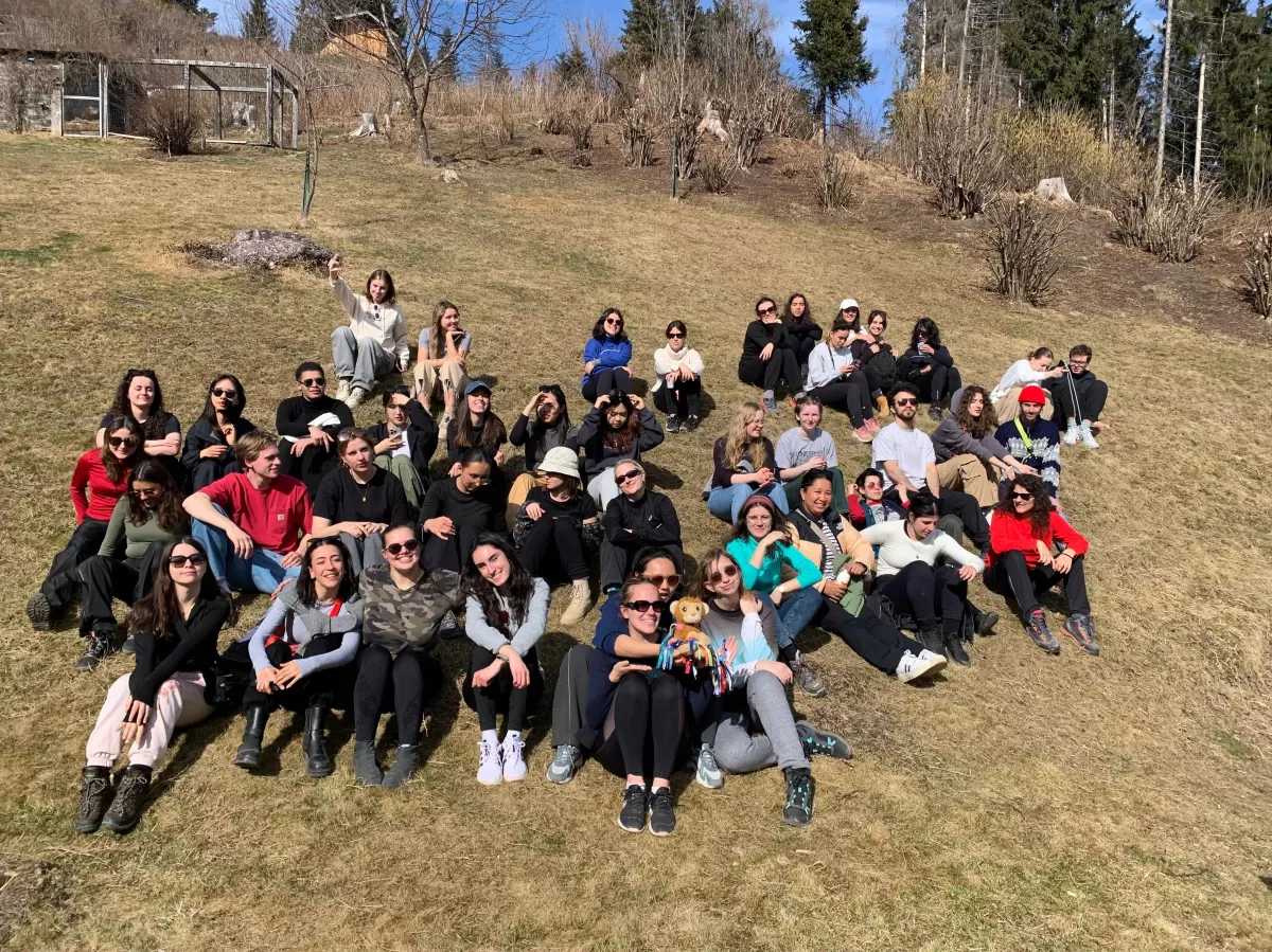 people sitting on the grass