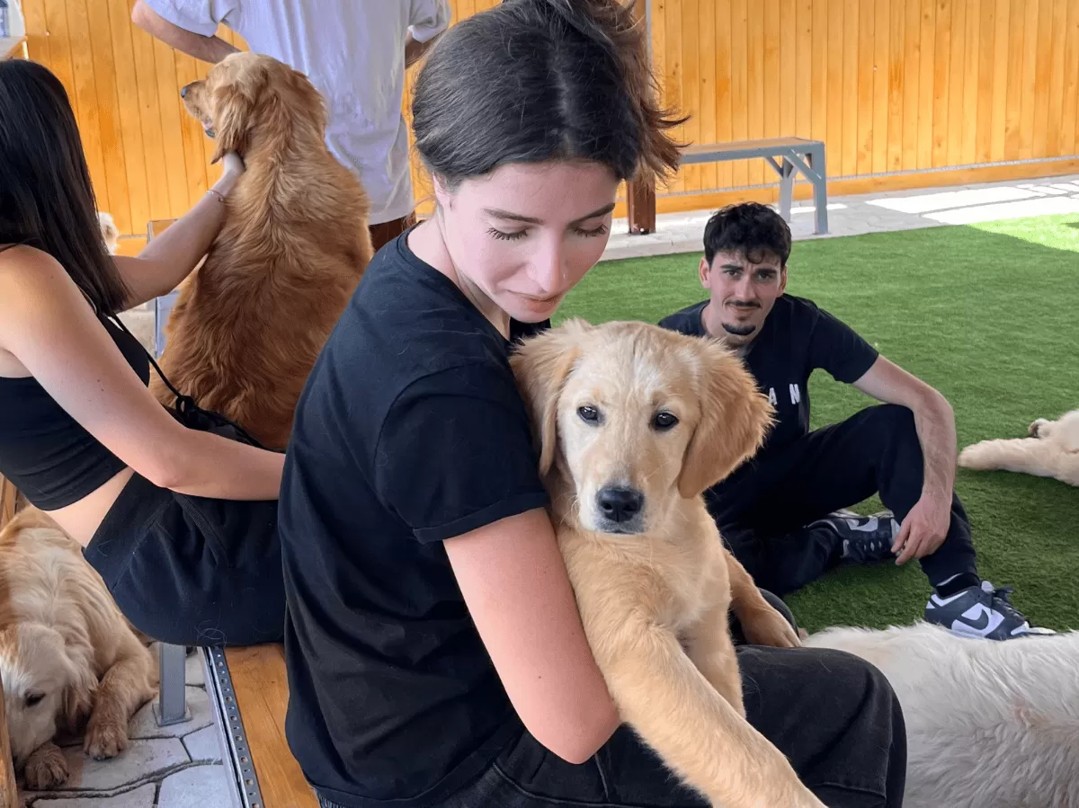 Erasmus student and a dog