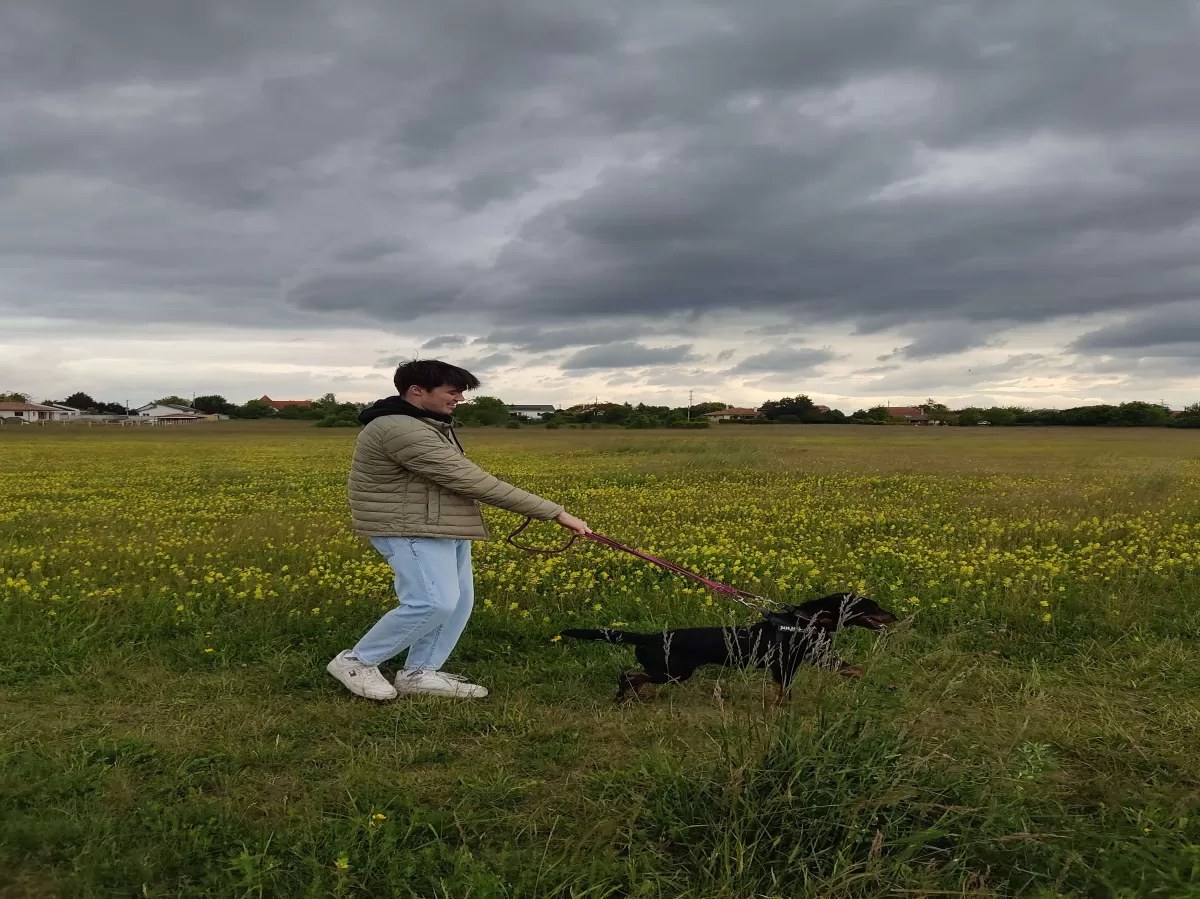 a person with a dog on a leash in a field with flowers