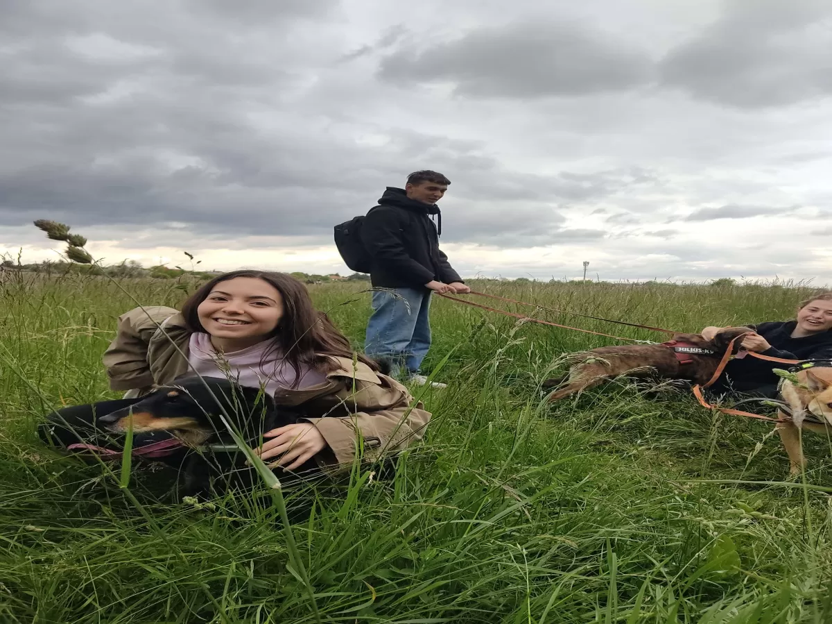 dogs and people staninding in a field