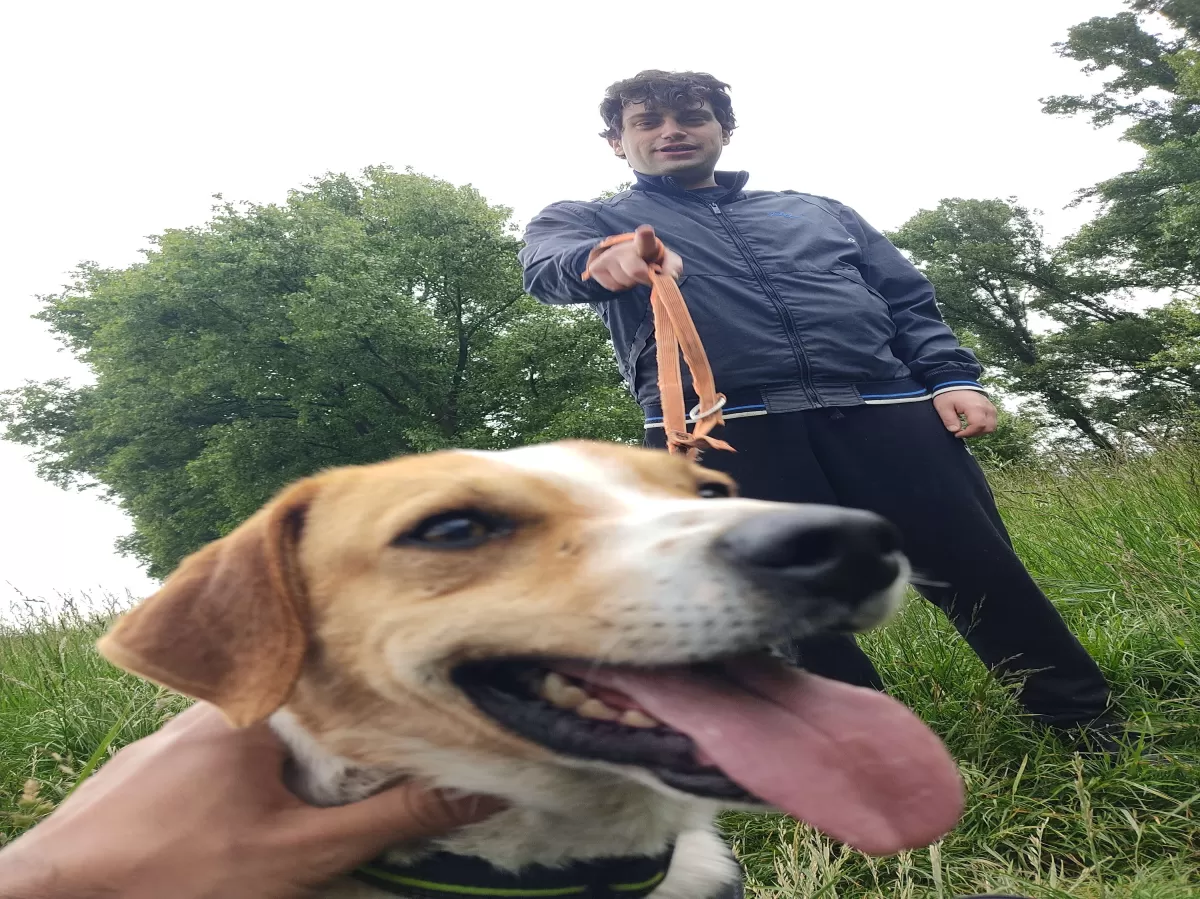 a dog and a person pointing towards the camera