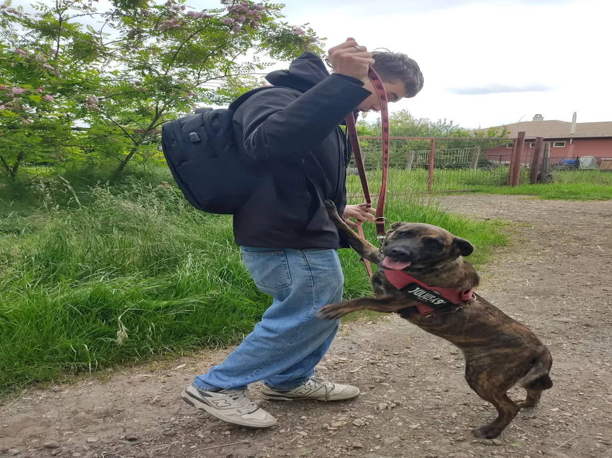 a dog jumping onto a person on a steet in front of a house