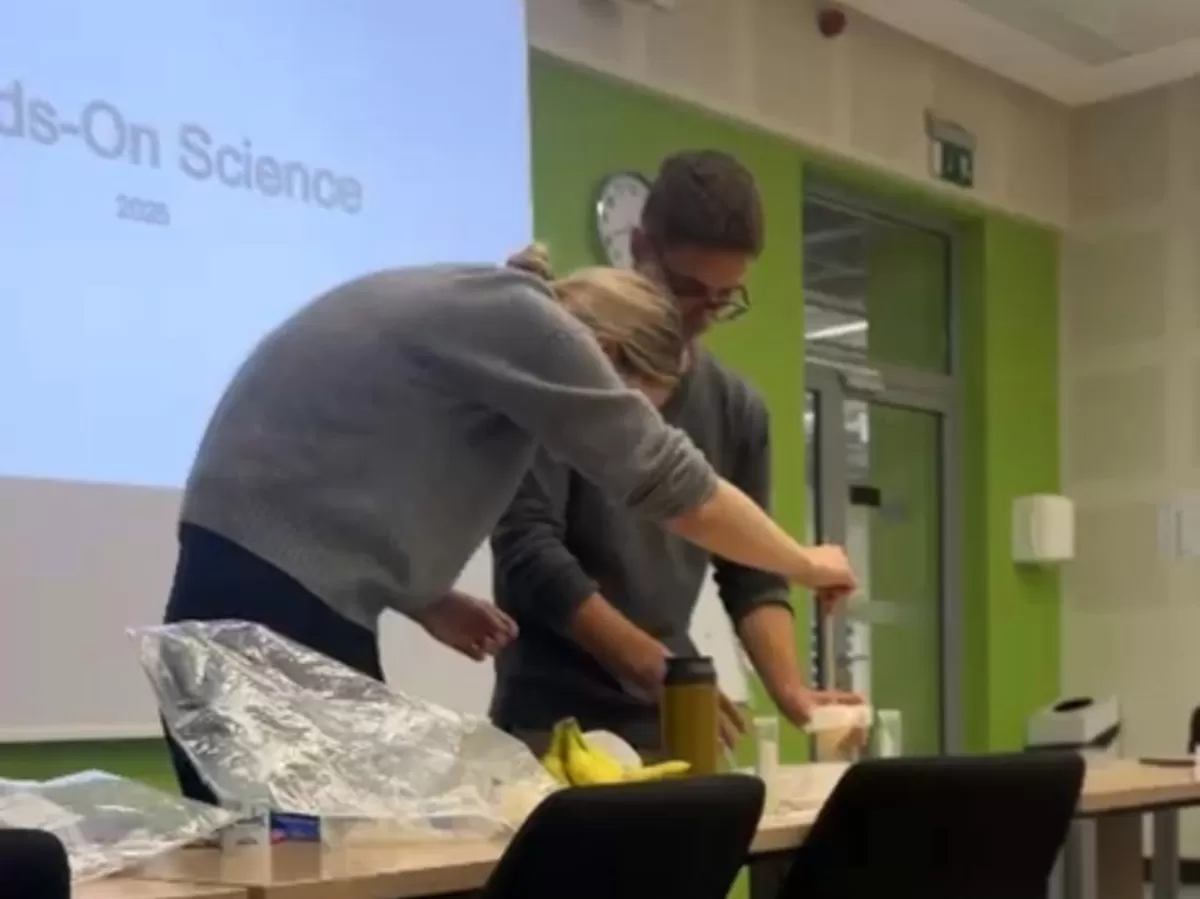 The experiment process