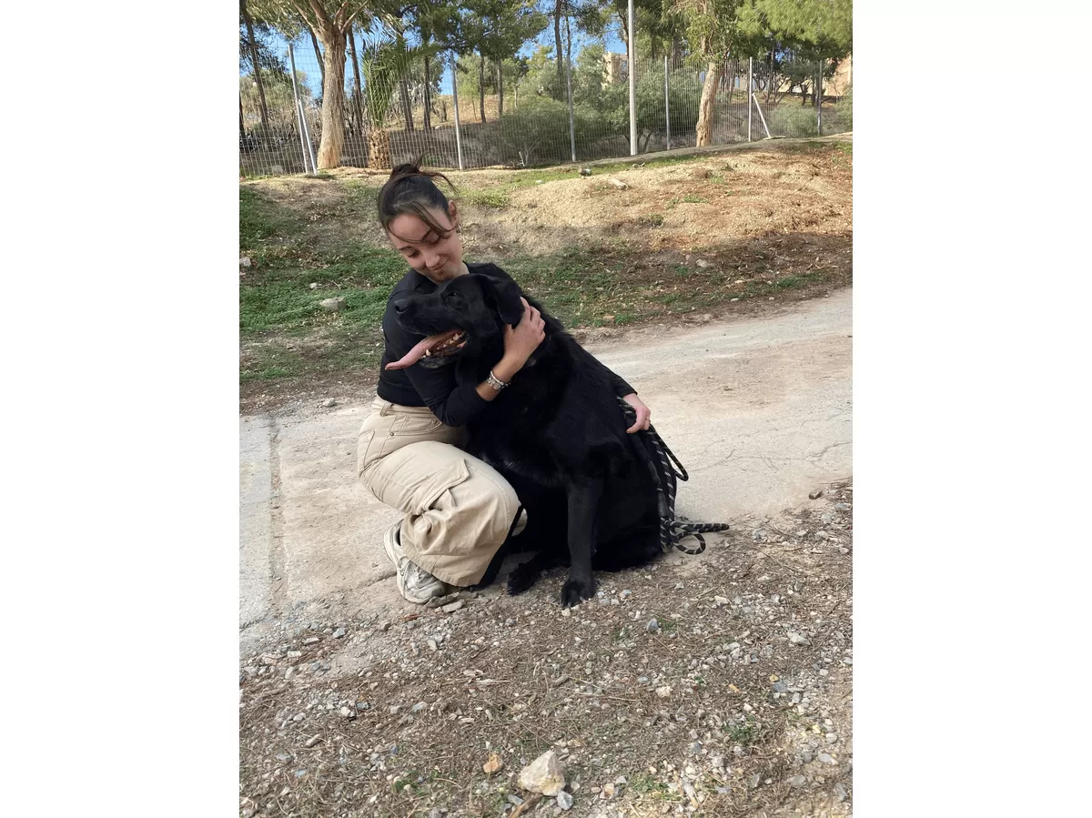 Dog Walking Day Memories