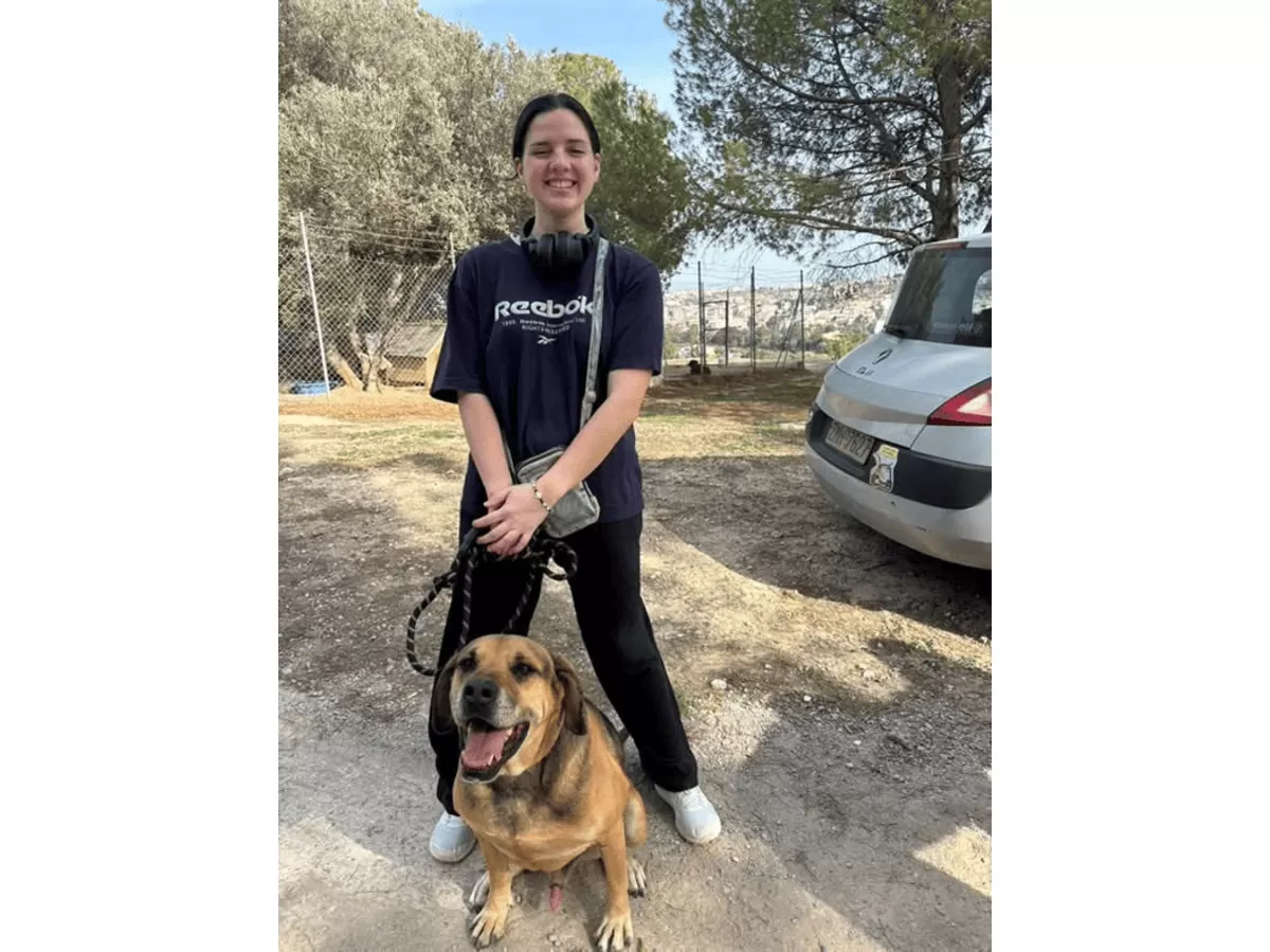 Dog Walking Day Memories