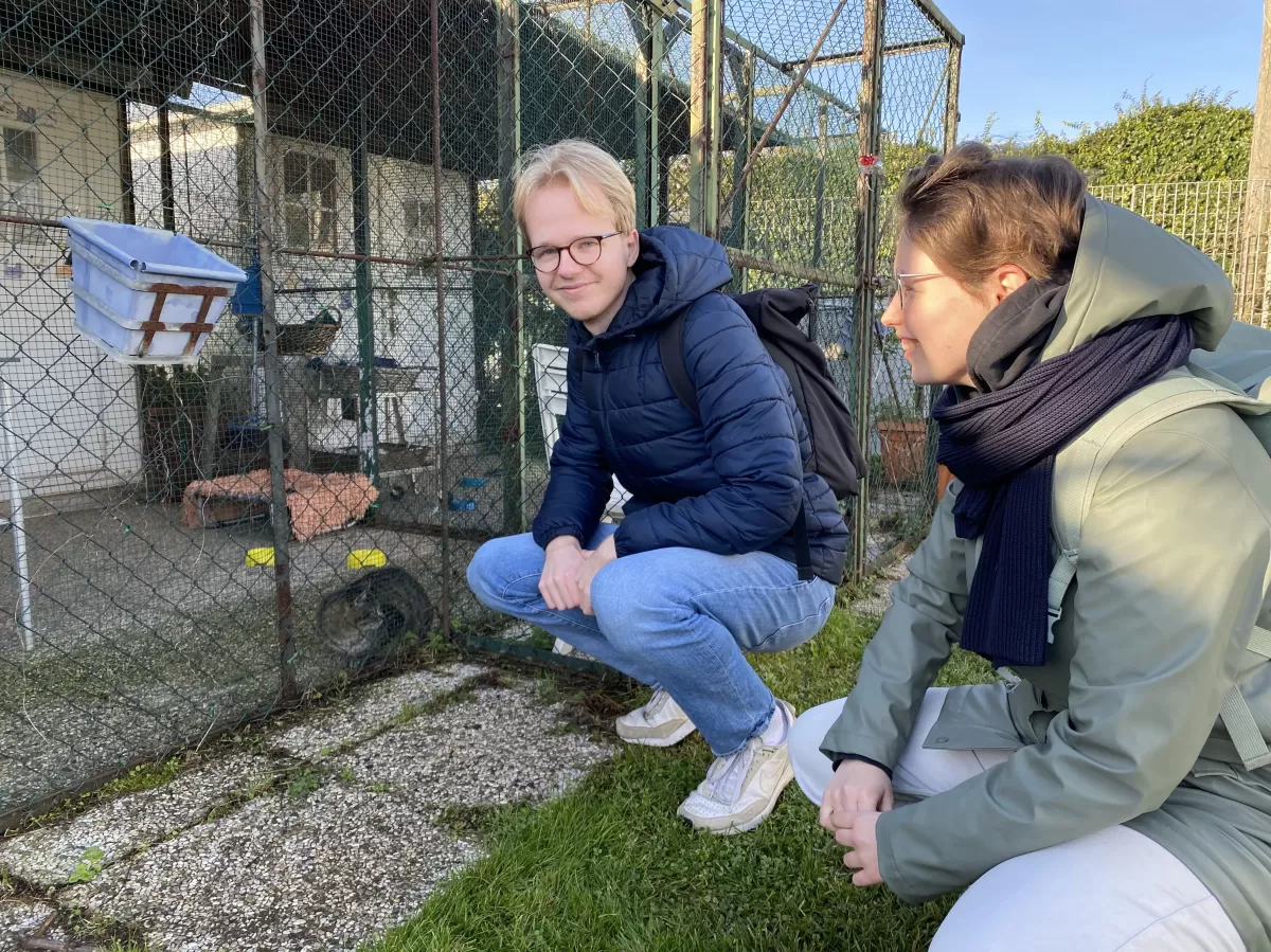 international students