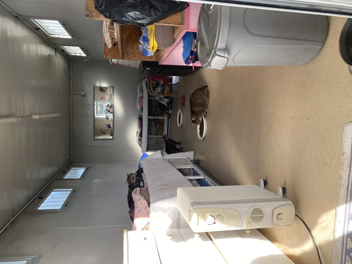 one of the inside parts of the cat shelter, where cats can go when it is cold