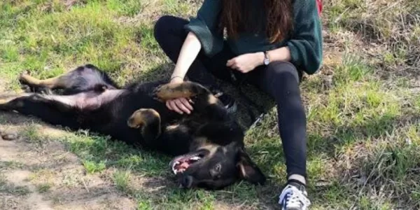 A girl tickling a dog