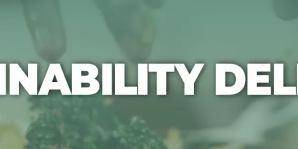 Green background with white text that reads "Sustainably Delicious"