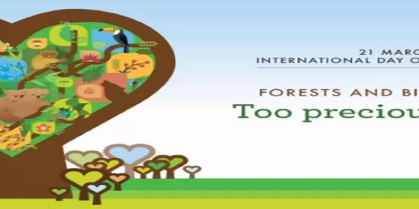 International Day of Forests 2020