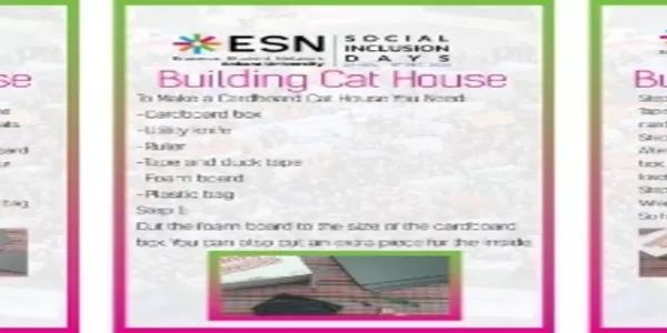 Building Cat House