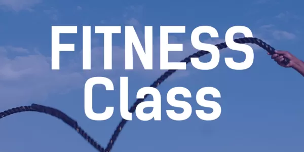 Online Fitness Class
