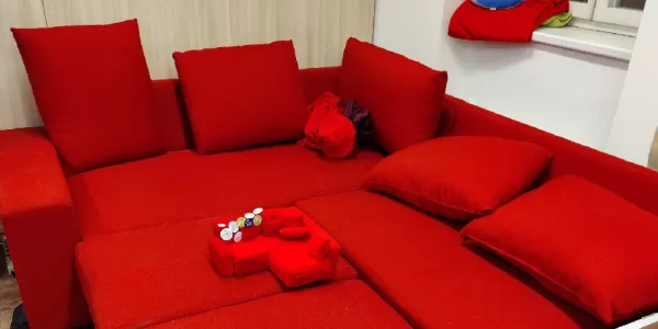 Mr. Red Couch with mascot