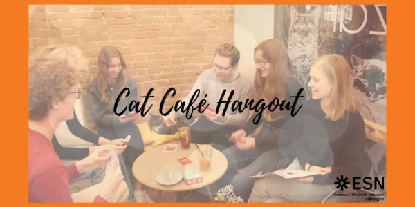 Cat Café Hangout with Board Games