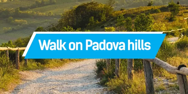 Walk in Padova hill event's cover image
