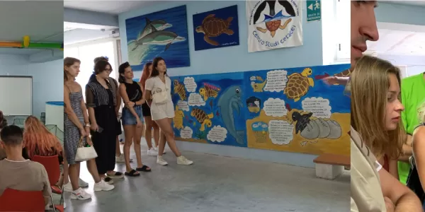 Visit to "Centro recupero tartarughe marine"