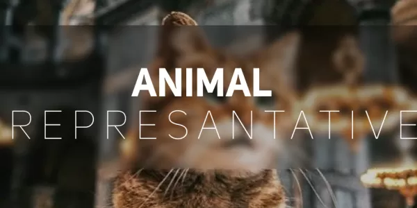 Animal Representative