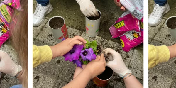 Planting Flowers