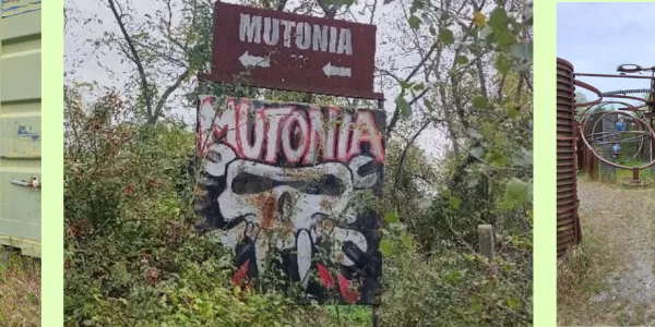 pictures of Mutonia
