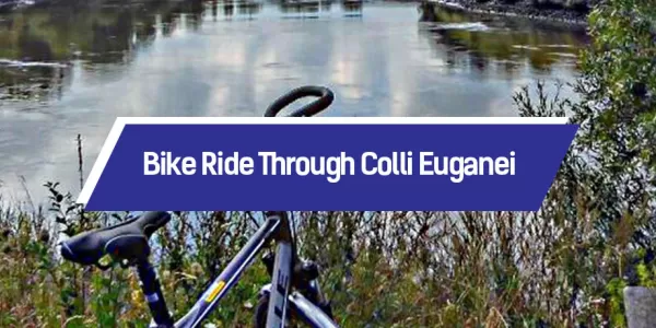 Bike Ride Through Colli Euganei event's cover image