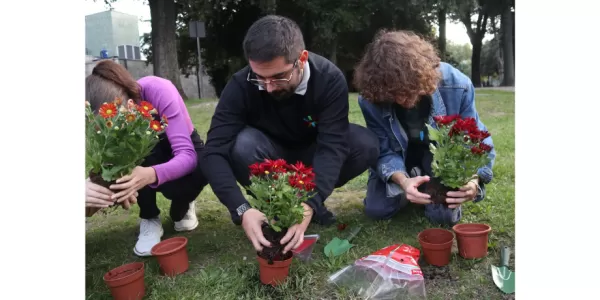 Planting plants