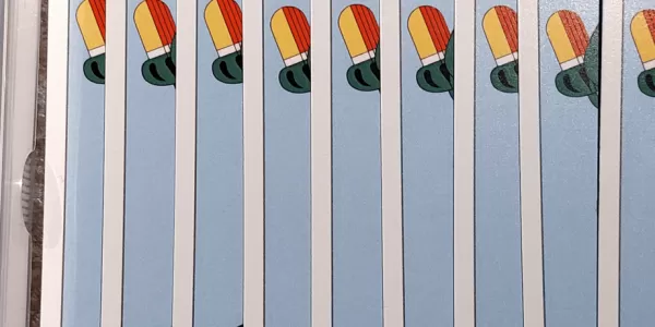 A box labeled Schafkopf on the left. Next to the box and towards the right, multiple overlapped cards are layed out. Their design on the back features an ESN star and some logos of cards in the game.