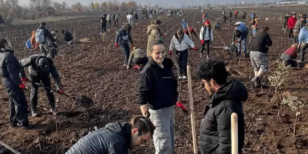 Group of people planting trees