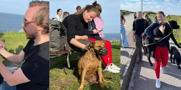 You can see people walking dogs in nature