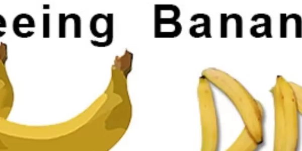 "Seeing banana dna" - a visual explaining the event