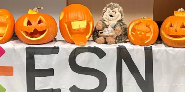 All the crazy pumpkins