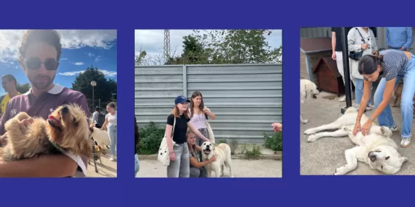 Pictures of some volunteers and Erasmus students who attended to Asproan.