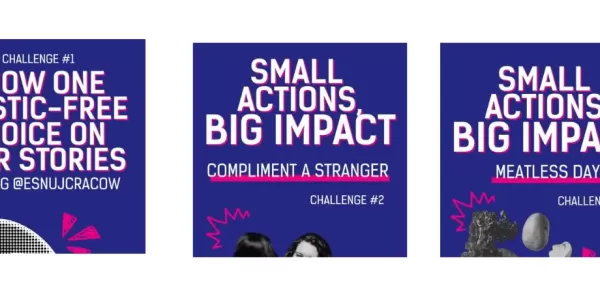 The graphic is divided into four sections, showing the individual challenges: 1) Show one plastic-free choice on your stories, 2) Compliment a Stranger, 3) Meatless Day, and 4) One meal can make a difference (plant-based meal examples).