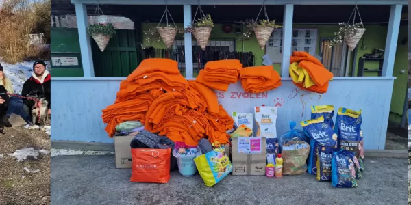 In the image there are three pictures, two with people with dogs on a walk, and one of all the material donations we brought to the shelter.