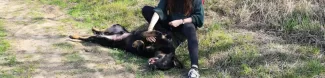 A girl tickling a dog