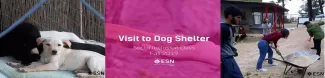 Visit tothe Dog Shelter