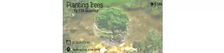 planting trees