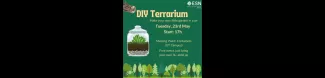 promo for diy terrarium